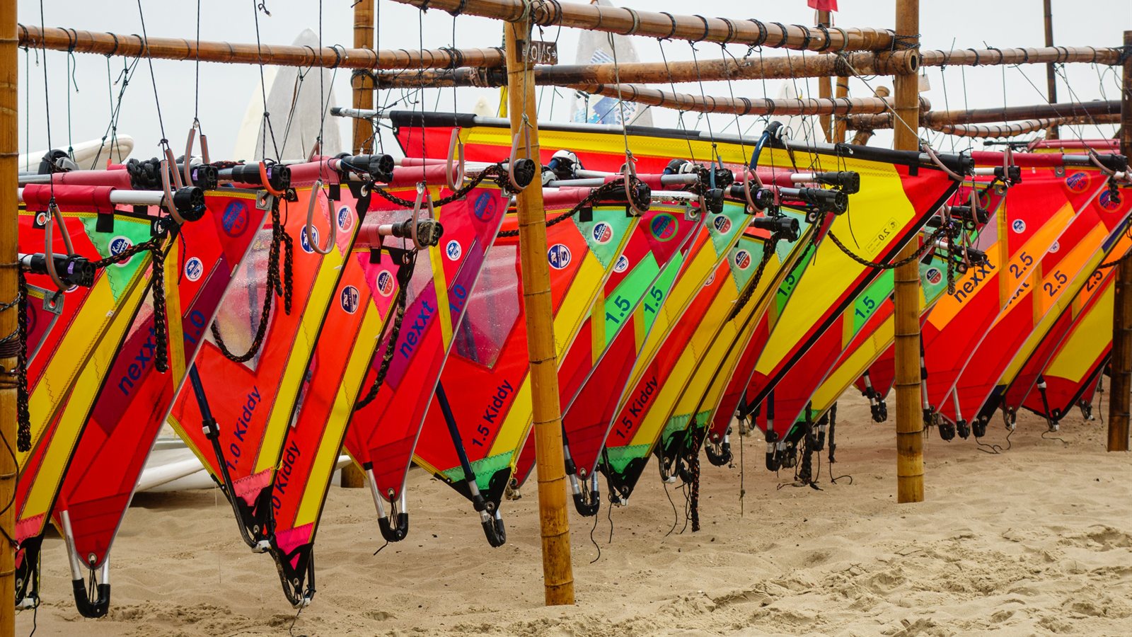 Windsurfers rigging equipment on a busy shoreline